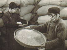 ����ְ��ɸ��